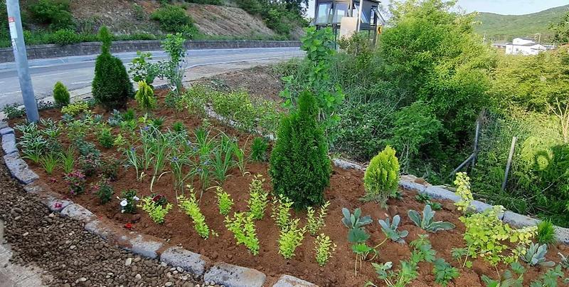 [강화군]양사면_클린화단_(1)